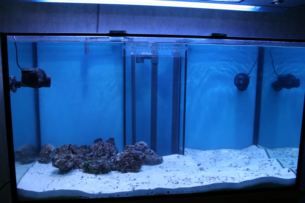 Можно ли в аквариум налить. Juwel морской аквариум. Оборудование для морского аквариума. Фильтр для морского аквариума. Морской аквариум 350 литров.
