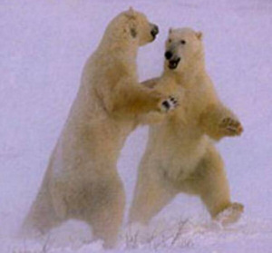 polar_bear_dance.jpg